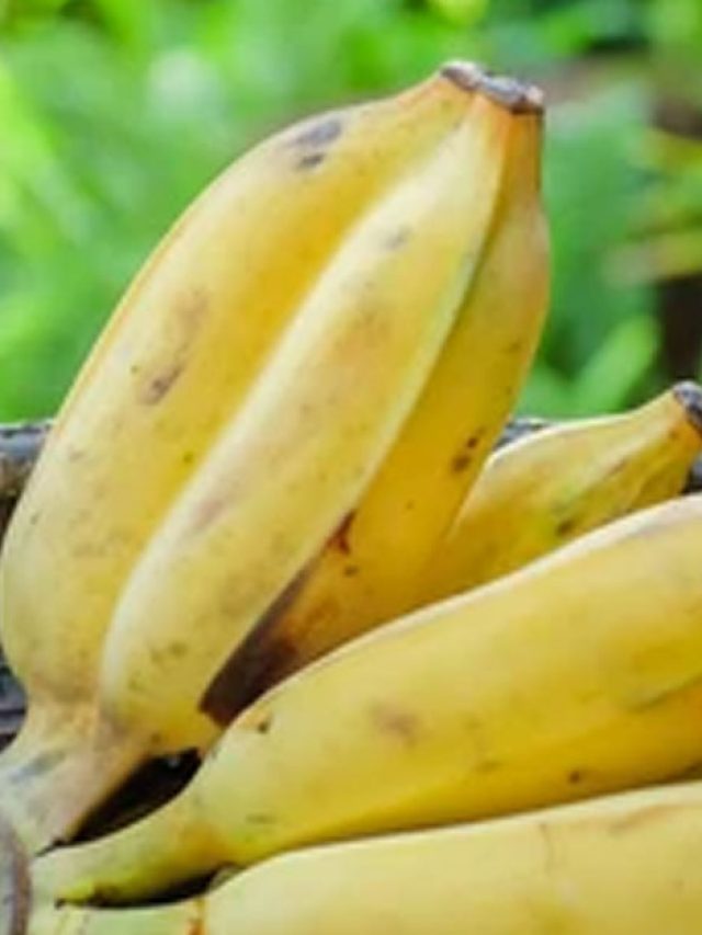 জোড়া কলা খেলে কী হয়? না জানলেই বিপদ