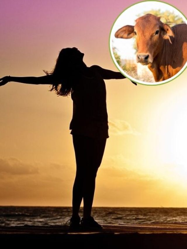 घर के दरवाजे पर दिख जाए जीव तो समझ लें खुलेगा भाग्य, मिलेंगे शुभ संकेत