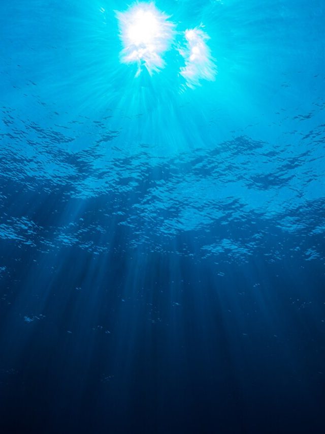 The sea is going dark: How ocean light loss is triggering a marine crisis