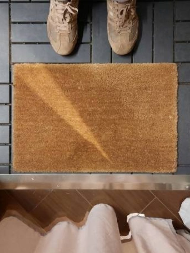 पायदान के नीचे ये एक चीज रखना बेहद शुभ, घर में रहता है लक्ष्मी का वास