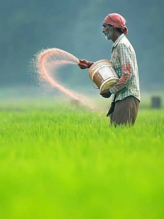 कब तक आएगी पीएम किसान योजना की 20वीं किस्त? यहां जानें सबकुछ