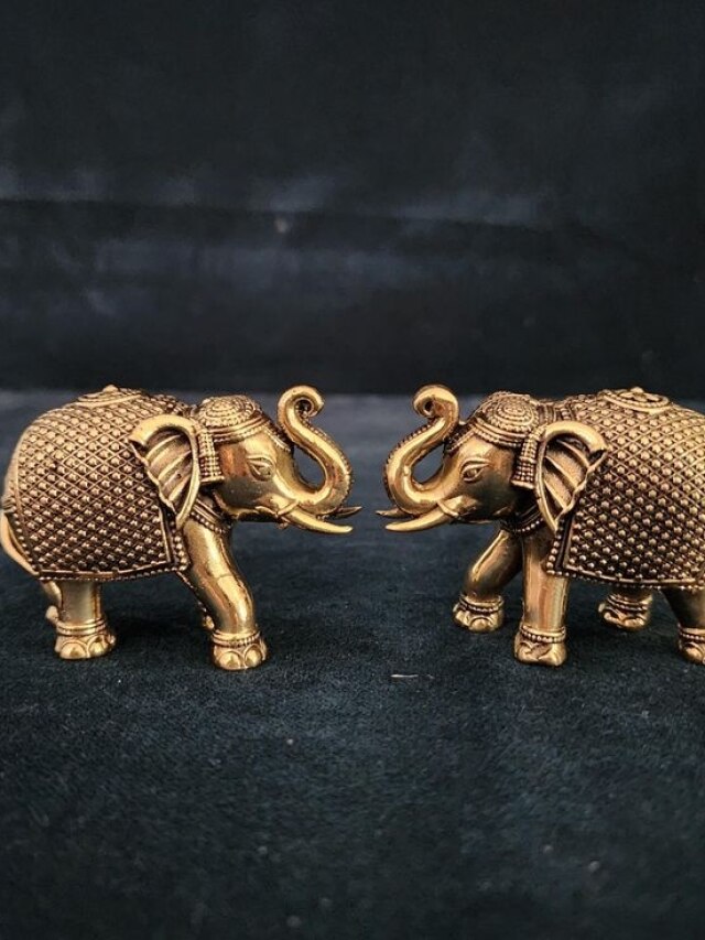 घर की उत्तर दिशा में रखें इस रंग का हाथी, कभी खाली नहीं रहेगी पैसों की तिजोरी