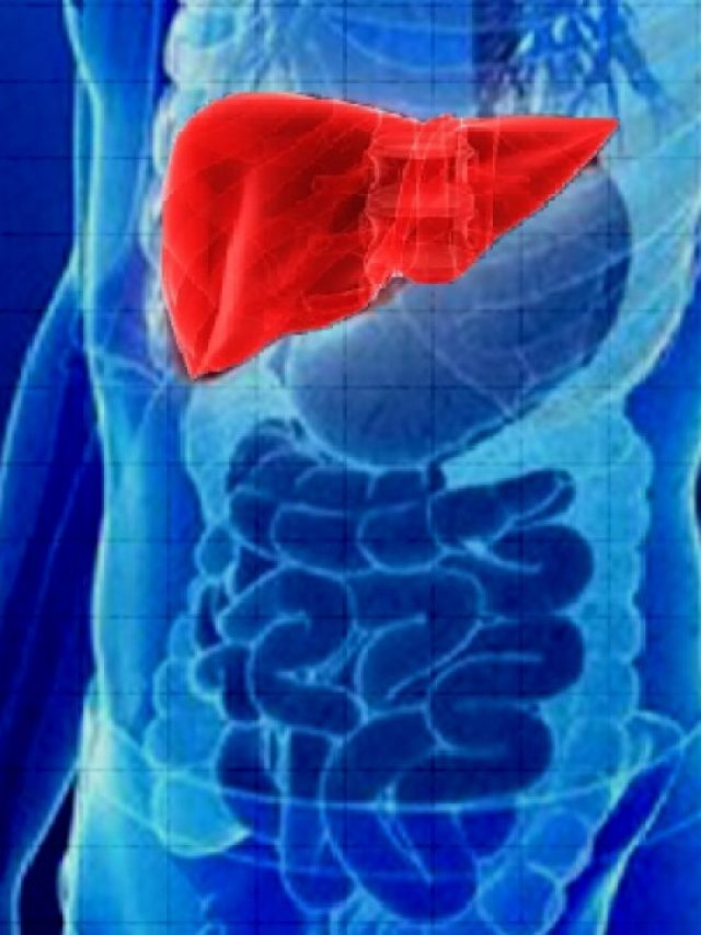 কোন কোন খাবার খেলে ফ্যাটি লিভার কমবে?  জানা জরুরি