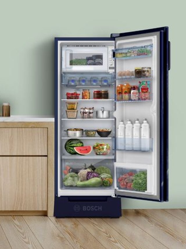 গরমে ফ্রিজের তাপমাত্রা কত রাখা উচিত? অনেকেই ভুলটা জানেন