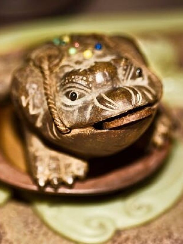 शुभ है घर में फेंगशुई से जुड़ी इन 3 चीजों को रखना, जीवन भर करोगे तरक्की