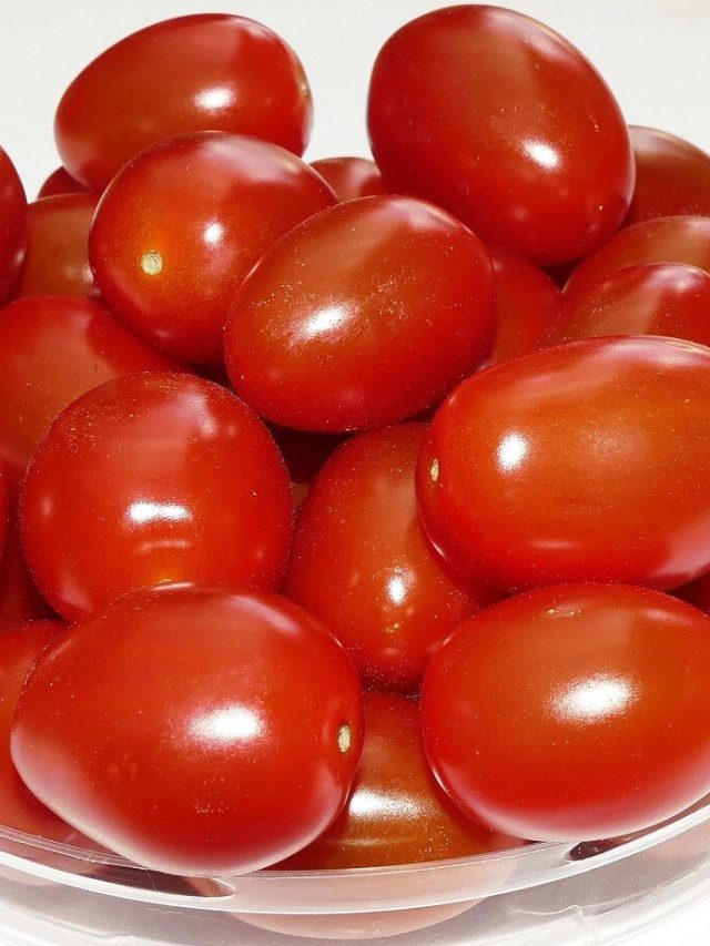 টুকটুকে লাল রঙের টম্যাটোতে মিশেছে রাসায়নিক,  চিনে নিন ৩ লক্ষণে