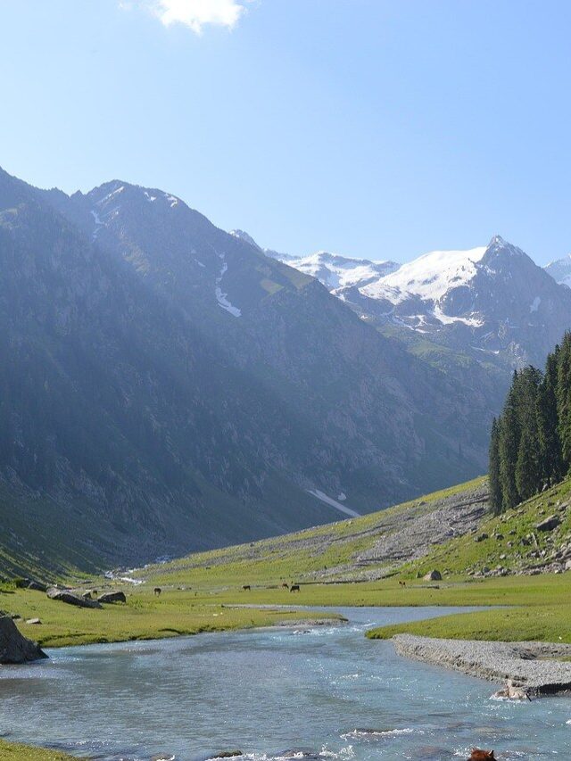 पाकिस्तान के इन दो गांव में ऐसा कौन-सा खजाना है, जिसपर है अमेरिका वालों की नजर