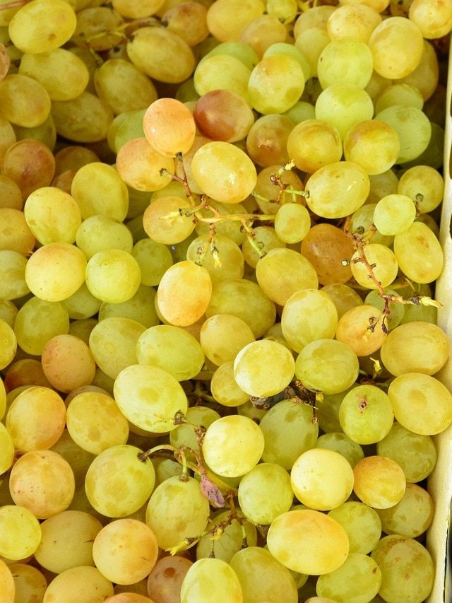 কেমিক্যালে ঠাসা আঙুর, এই টোটকায় করুন জীবাণুর সঙ্গে রাসায়নিক মুক্তও