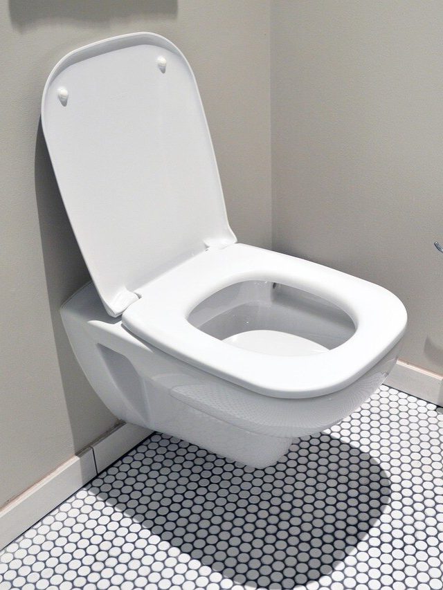 বাড়ির এই কোণে টয়লেট নেই তো? ব্যাড লাক টেনে আনে