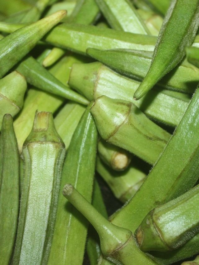 এই মানুষরা ভুলেও বেশি খাবেন না ঢেঁড়স, তাহলেই বাড়বে সমস্যা