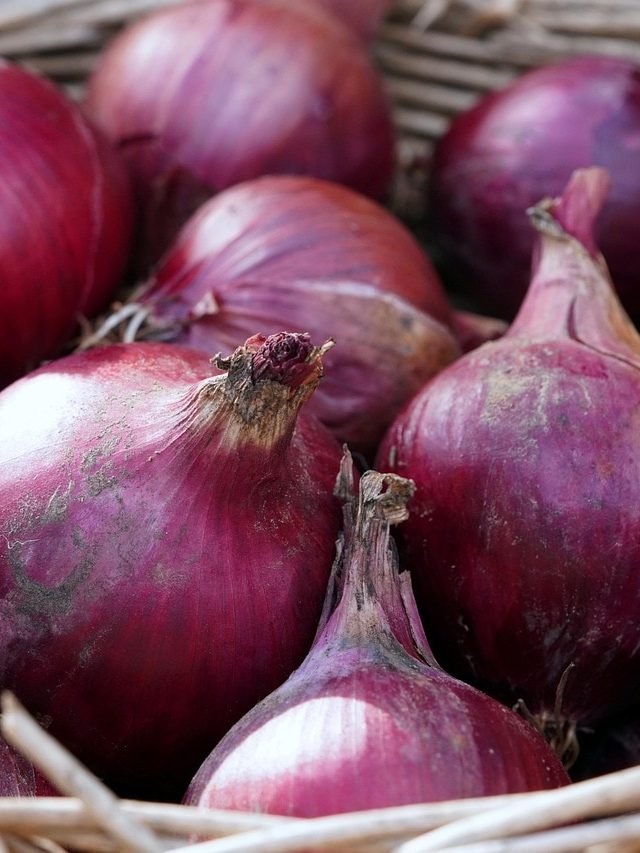 গরমে ফ্রিজ ছাড়াই তাজা থাকবে,এভাবে রাখলে  আর পচবে না পেঁয়াজ