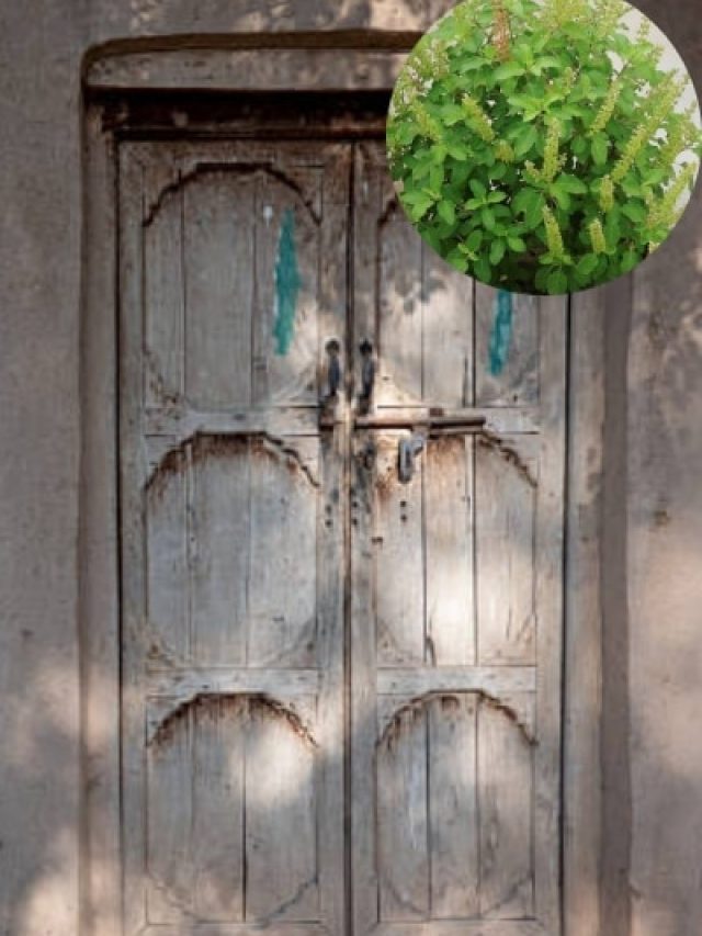 सिर्फ एक उपाय से बदल सकती है किस्मत, घर के दरवाजे पर बांध दें ये खास चीज