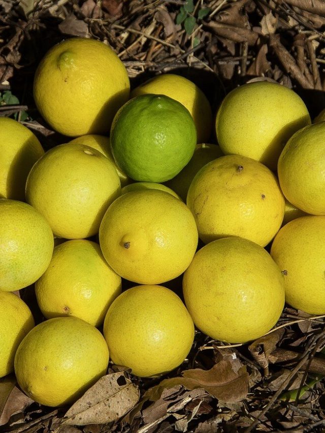 লেবুর থেকেও বেশি ভিটামিন C সবুজ এই ফলে