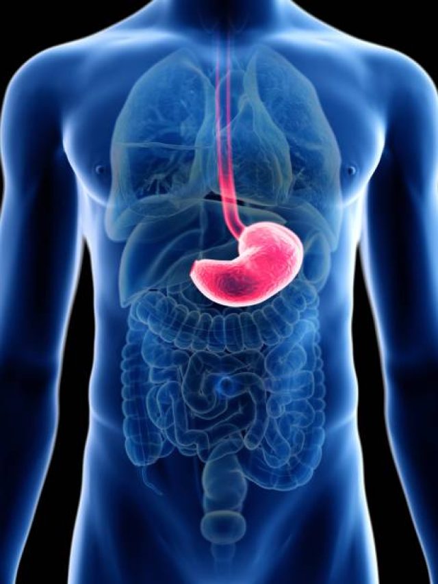 शरीर में जम रही गंदगी होने लगेगी साफ, सुबह खाली पेट पिएं ये 3 ड्रिंक्स