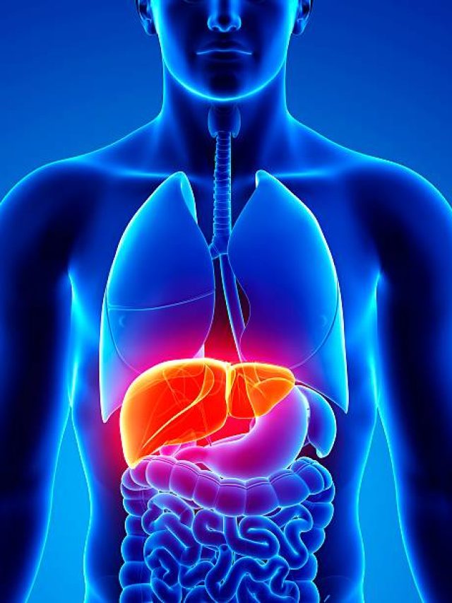 लिवर के लिए 'जहर' से कम नहीं है ये 3 फूड्स, तुरंत लगाएं इन पर ब्रेक