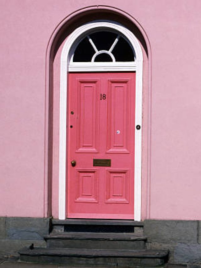 বাড়ির মেন গেটের দরজায় কী কালারের রং করা উচিত? জানুন বাস্তুর নিয়ম