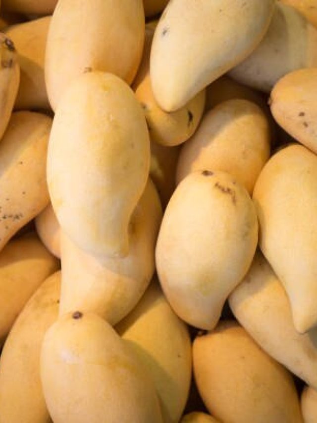 এটাই বিশ্বের সবচেয়ে মিষ্টি আম, নাম শুনেছেন? জেনে নিন