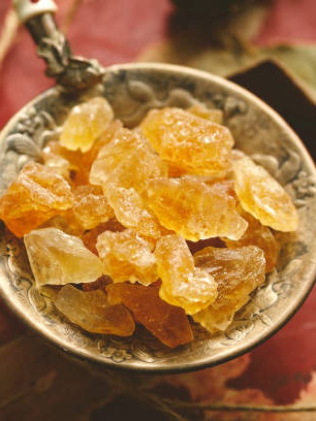 दिखने में एक-जैसे लेकिन अलग-अलग हैं गोंद और गोंद कतीरा, कहीं आप भी तो नहीं हुए कन्फ्यूज