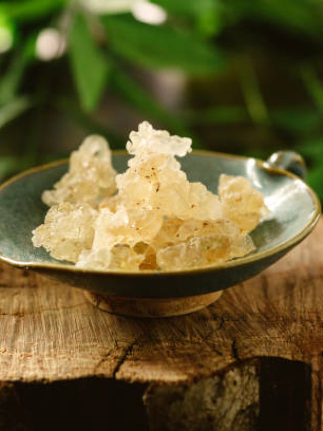 इन लोगों को भूलकर भी नहीं खाना चाहिए गोंद कतीरा! हो सकते हैं साइड इफेक्ट