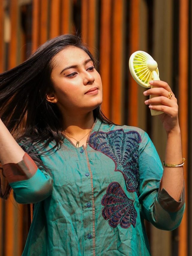 মেকআপ গলে না, ছোট্ট এই পাখার দাম কত?