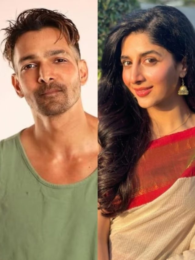 'ये पर्सनल अटैक है...', बौखलाईं मावरा को हर्षवर्धन ने दिया जवाब, संग काम करने से किया इनकार