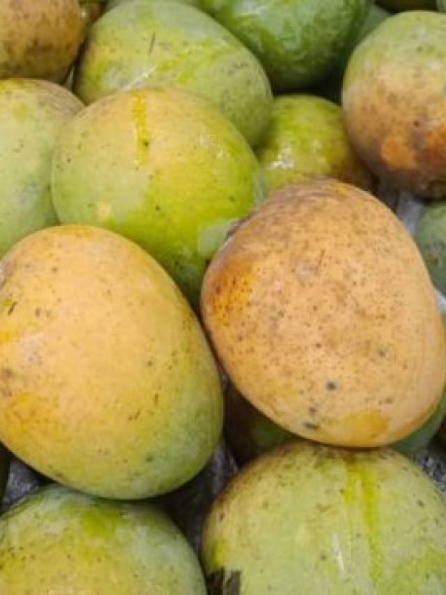 এটাই হিমসাগর চেনার সেরা টেকনিক, এতদিন ভুল জানতেন