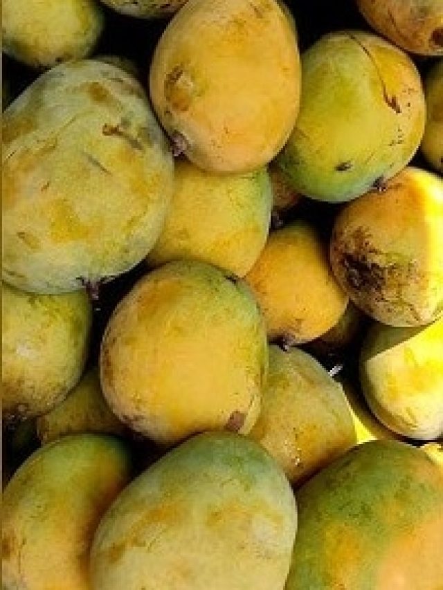 না খেয়েও কীভাবে বুঝবেন আমটি মিষ্টি, ট্রিকস