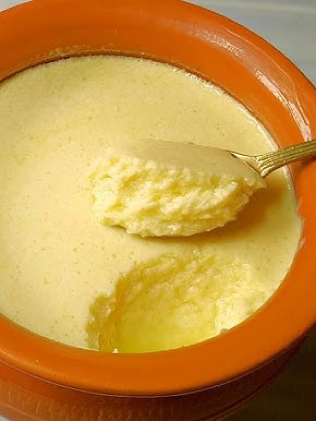 কলকাতার সেরা মিষ্টি দই পাওয়া যায় এই ৯ দোকানেই, লিস্ট রইল