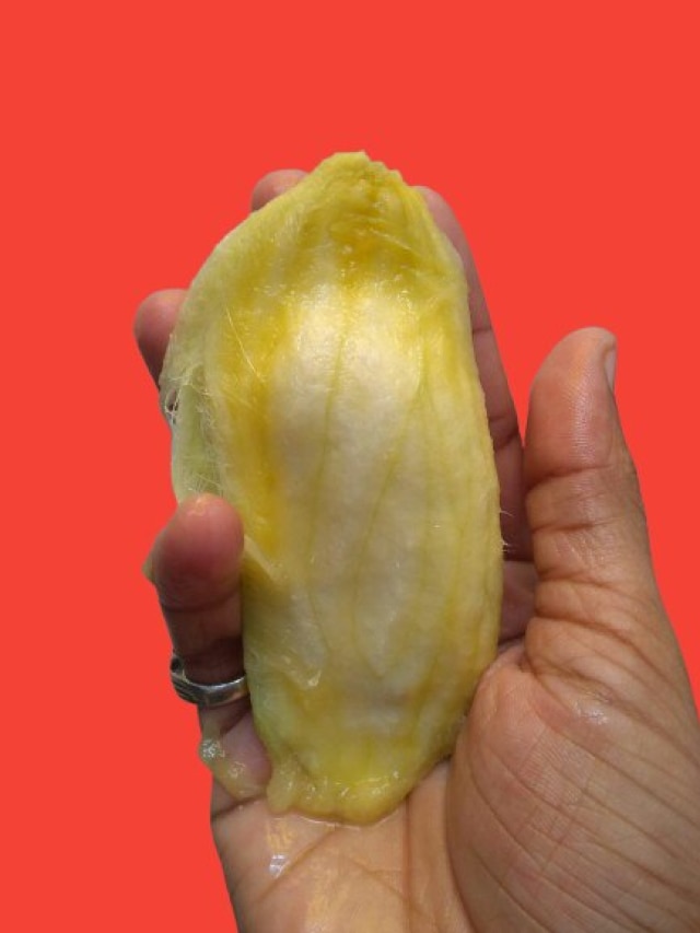 শুধু আম নয়, আমের আঁটি খেলেও উপকারিতা মেলে, কী কী জানুন