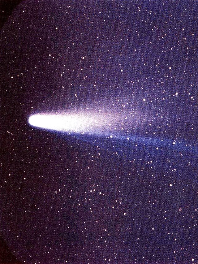 'Halley’s Comet is back': How to watch 40 meteors an Hour in India before sunrise
