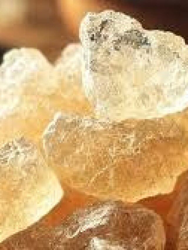 गोंद कतीरा के फायदे, जानें कैसे, कब और कितनी मात्रा में खाएं