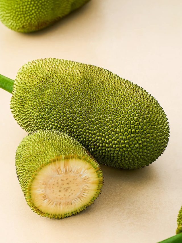 কেজি কেজি কাঁঠাল কাটা হবে কয়েক মিনিটেই! হাত আঠালো হবে না