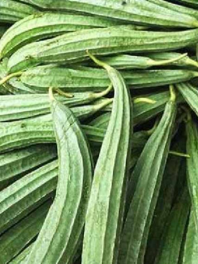 অর্ধেক বাঙালি জানে না ঝিঙের ইংরাজি,আপনার জানা আছে?