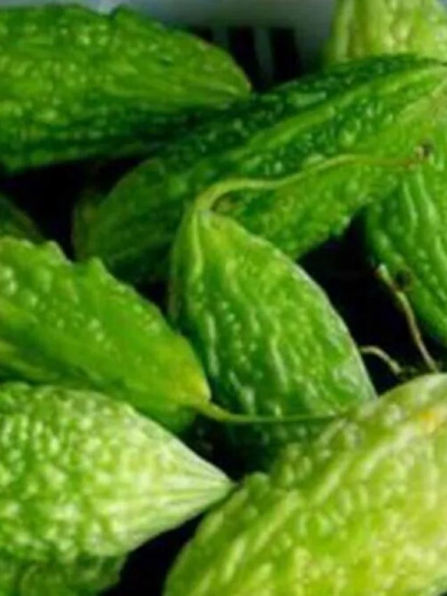 চুল পড়া রুখবে করলা!  জানেন কীভাবে?