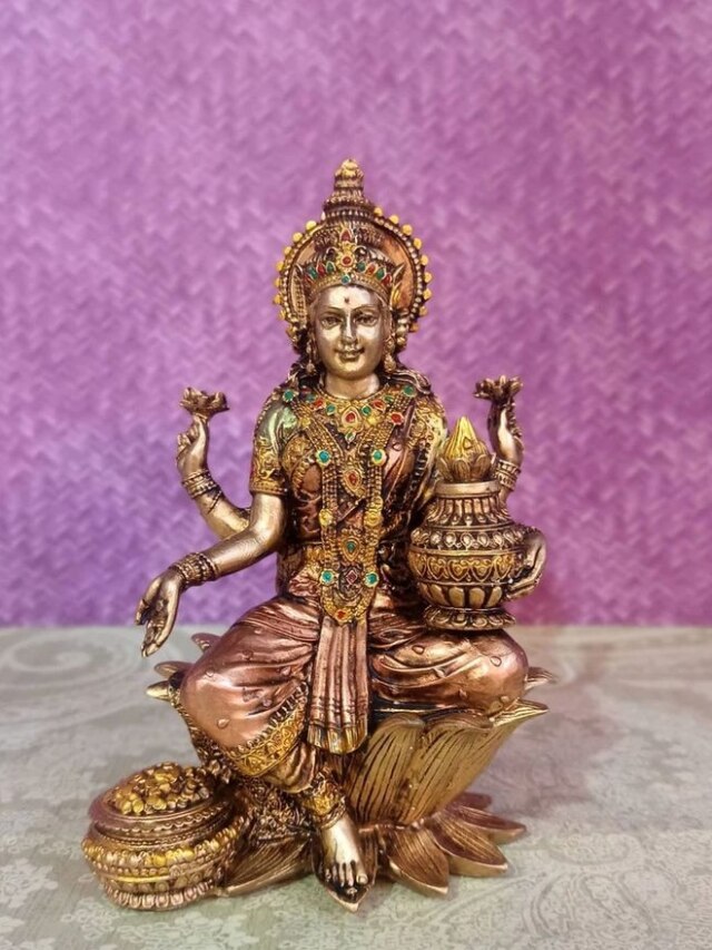 निर्जला एकादशी पर घर ले आएं ये शुभ चीजें, बरसेगी मां लक्ष्मी की कृपा