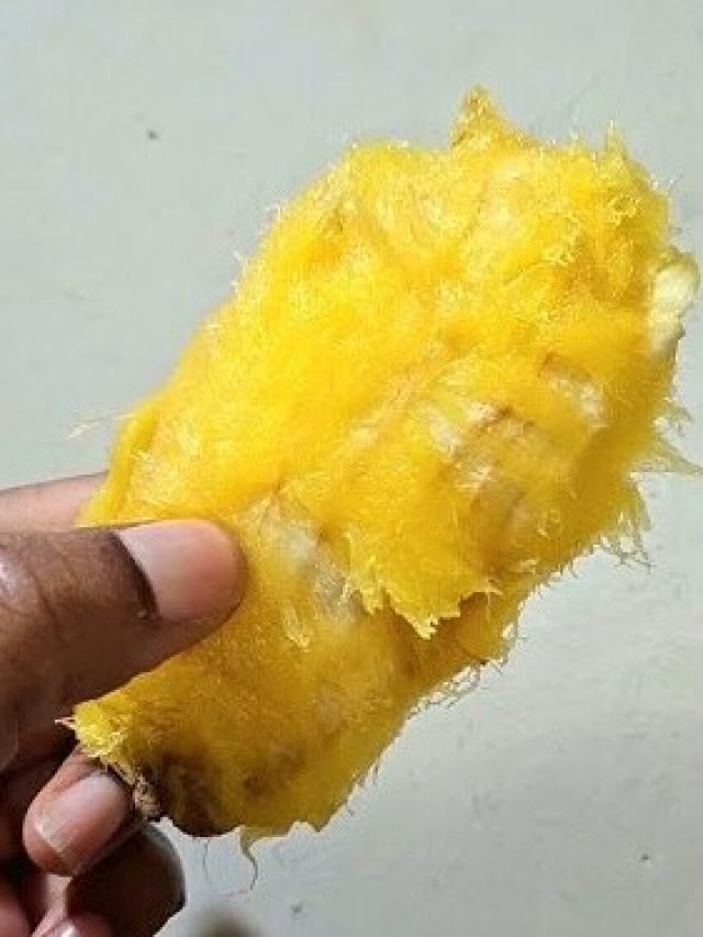 আম খেয়ে আঁটি ফেলে দেন? উপকারিতা জানলে আজ থেকেই জমাবেন