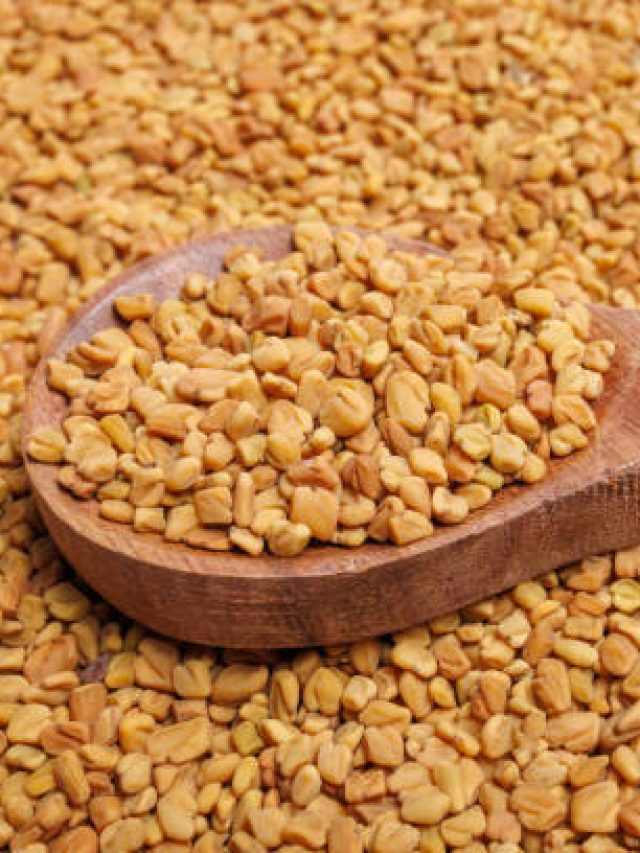 पेट की चर्बी पिघला देगा मेथी दाना, बैलेंस डाइट के साथ ऐसे करें सेवन