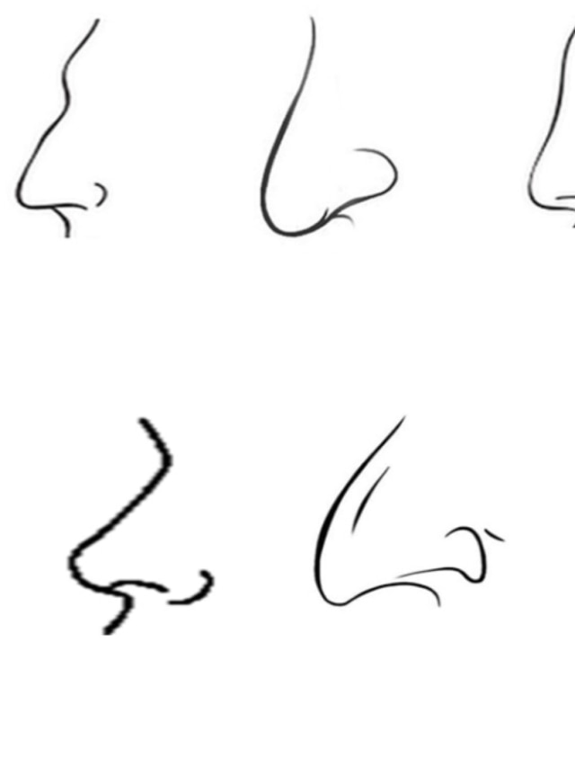 বোঁচা না টিকালো? নাক দেখেই বুঝুন কারওর চরিত্র