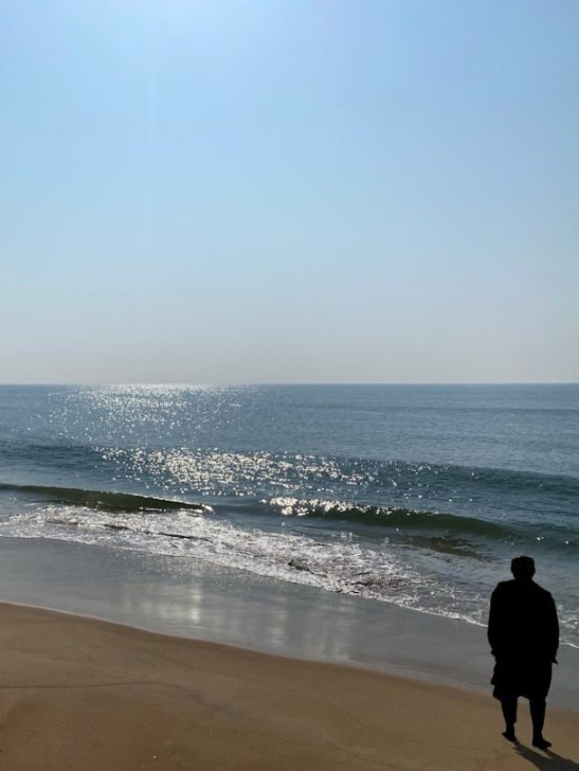 পুরীর সৈকতের ওপারে কী রয়েছে ? উত্তর আপনার কল্পনার বাইরে