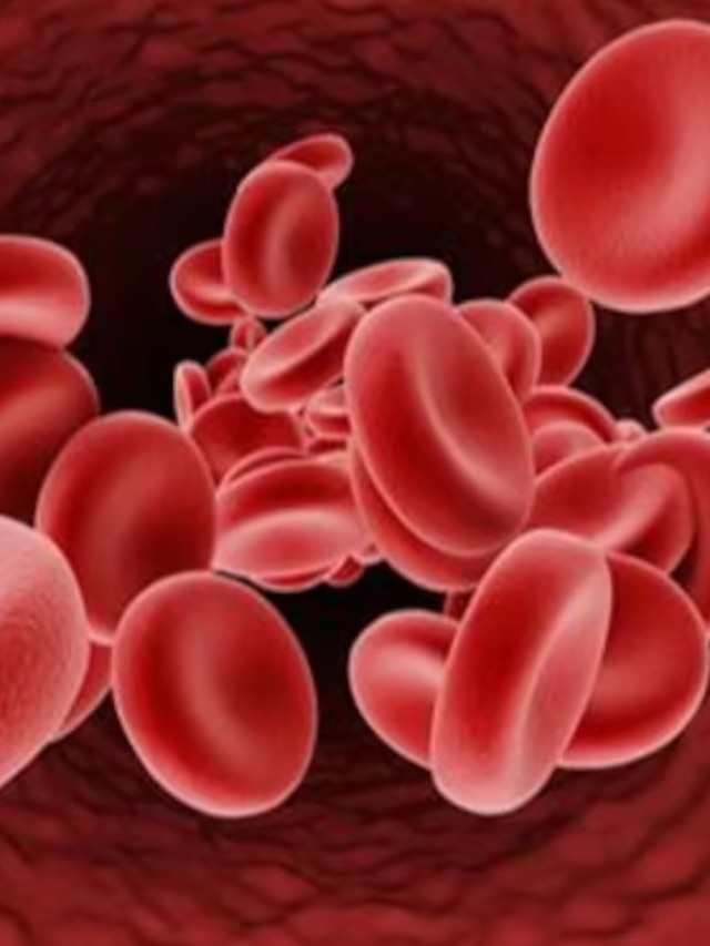 ওষুধ ছাড়াই বাড়বে শরীরের রক্ত, এই ৫ খাবার রাখুন পাতে