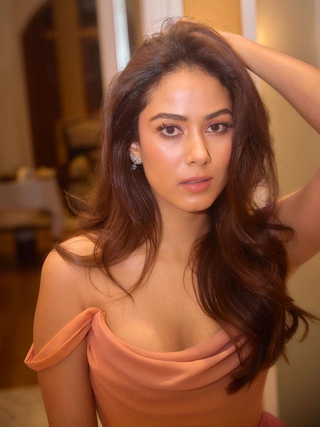 21 में शादी... 22 में बनीं मां, हीरो संग शादी कर बदली मीरा की जिंदगी, फील किया अकेलापन