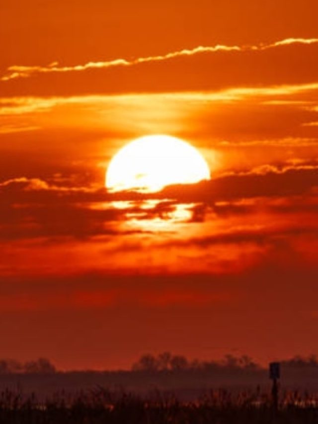 शाम के समय भूलकर भी न करें ये 4 काम, वरना रूठ सकती हैं मां लक्ष्मी