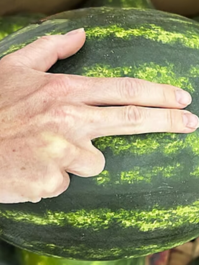 তরমুজ পানসে না মিষ্টি? এভাবে আঙুল দিয়েই বুঝুন