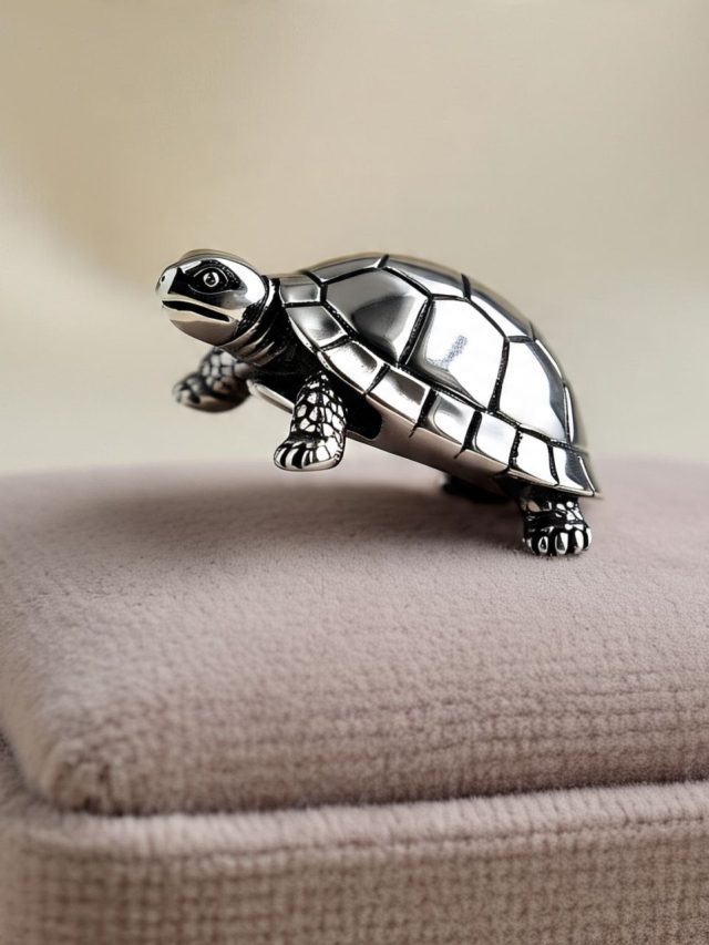 कछुए की अंगूठी बदलेगी तकदीर, इस उंगली में पहनने से आएंगे अच्छे दिन