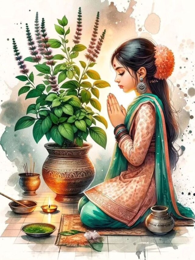 तुलसी की ये एक चीज होती है बेहद शुभ, एक प्रयोग से व्यक्ति बन जाता है धनवान!