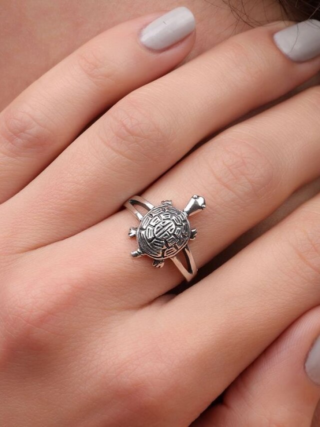 कछुए की अंगूठी पहनने से घर में खिंचा चला आएगा पैसा, दरिद्रता हो जाएगी दूर