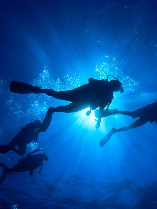 'Only 0.001% explored': The deep ocean secret we are ignoring at our own risk