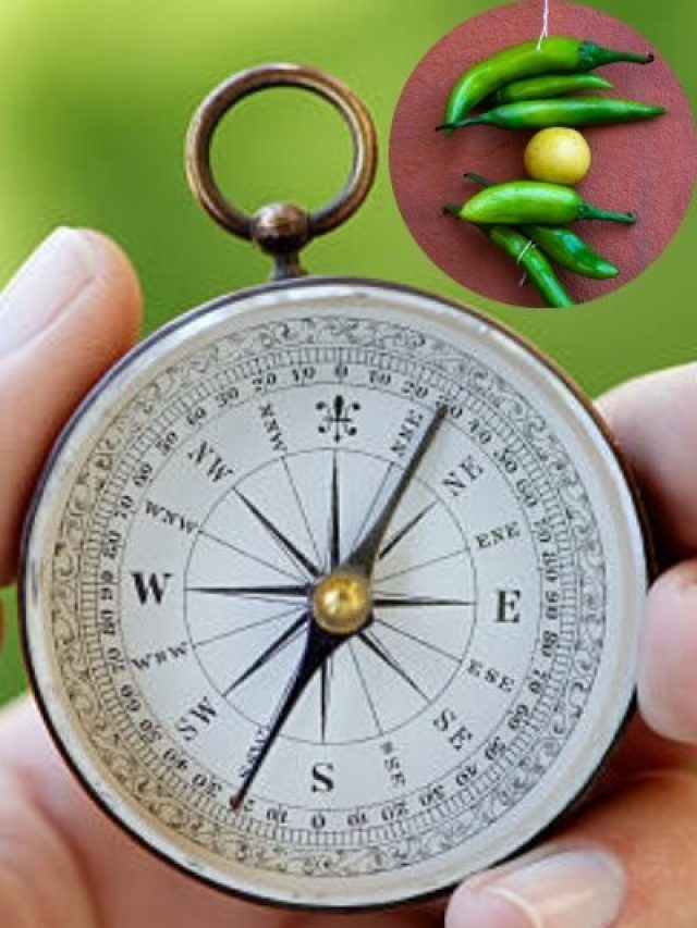 इन चीजों को सड़क पर देखकर कभी न करें अनदेखा, हो सकता है नुकसान