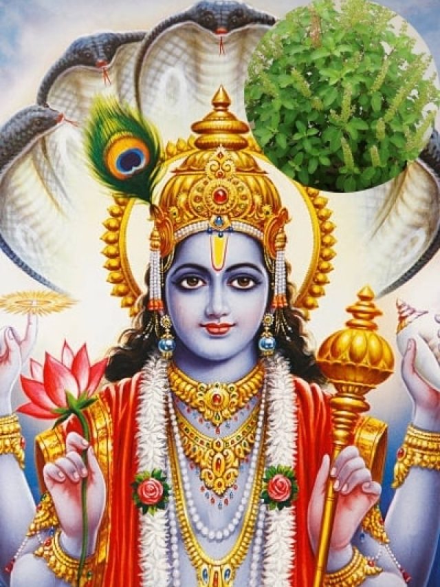 देवशयनी एकादशी  पर जरूर करें तुलसी के ये उपाय,  होगा अपार धन लाभ