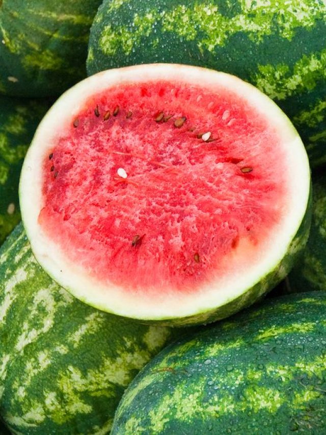 ওজনেই বুঝুন তরমুজ রসালো, একেবারে সরল সোজা টিপস